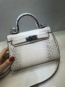 Hermes Handbags 484